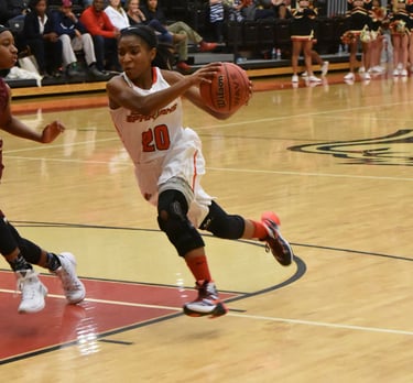 lady-bball.jpg lady-bball.jpg
